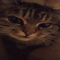 :333