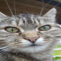 :}